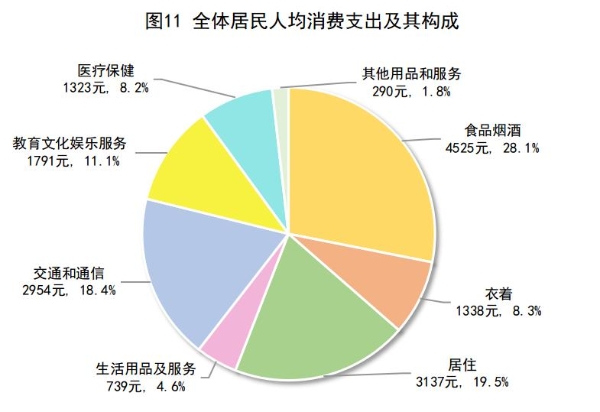 图片11